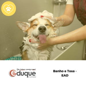 Banho e Tosa EAD